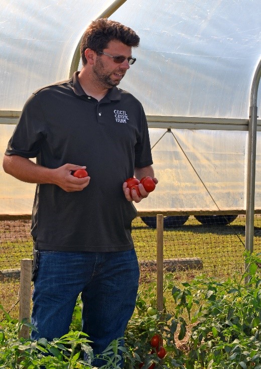 Frank Ferrucci- Top Tomato Winter 2019